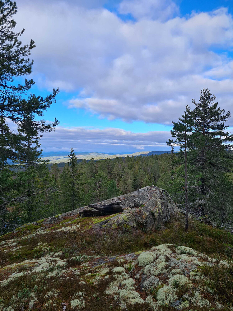 Utsikt mot nord også