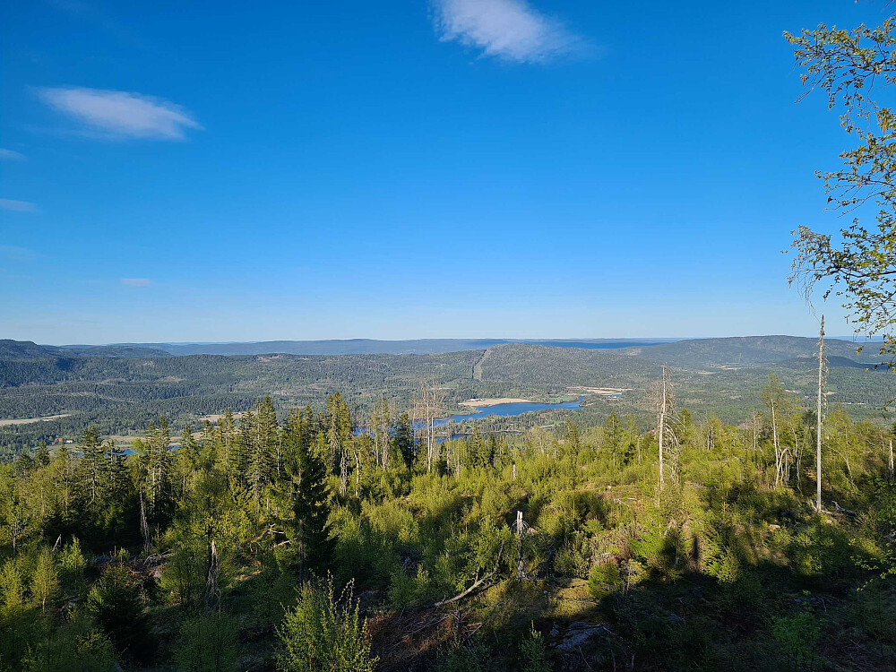 Utsikt østover fra Norbysetra på veg opp