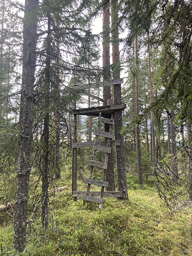 Jakttårn på Bjørnåsen
