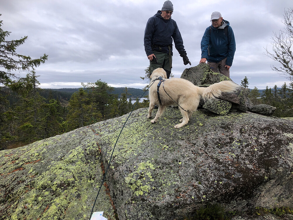 Ikke lett å organisere fotografering med hund