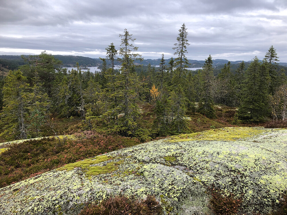 Utsikt mot nordvest fra Spålsberget hvor vi så fint ned på deler av Øyangen
