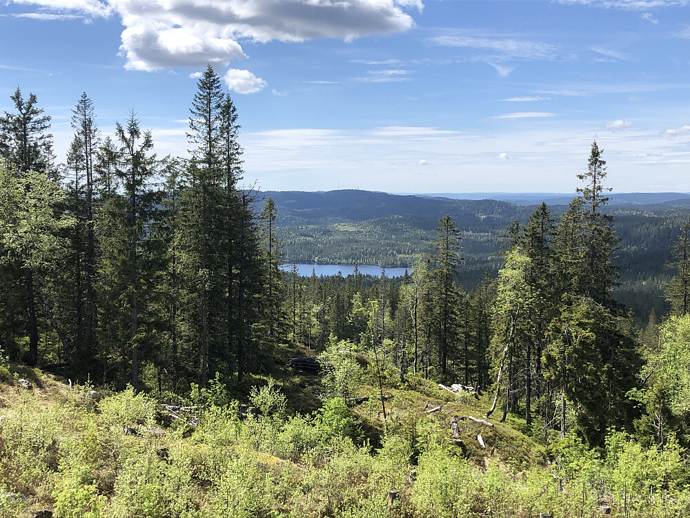 Utsikt fra Varingskollen mot Ørfiske og Tryvann i bakgrunnen