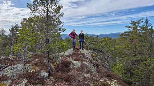 Bilde fra toppen av Høgelifjell (pappa er fotograf).
