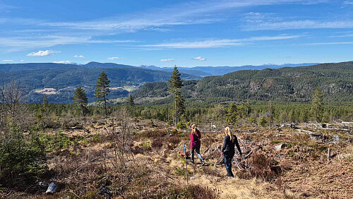 Bilde fra turen ned igjen (pappa er fotograf igjen).