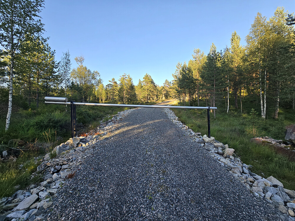 Stor bom ved fylkesveien