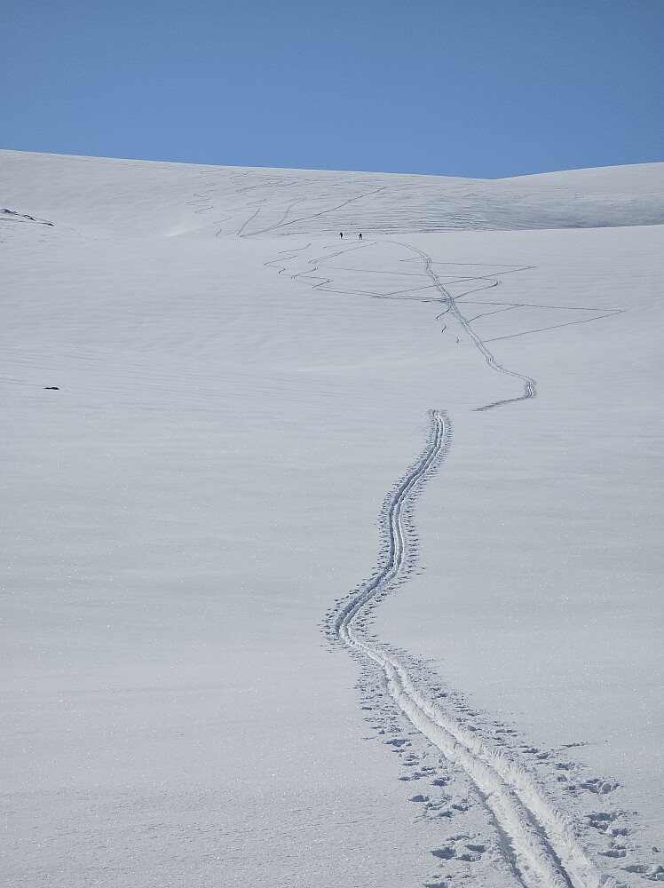 Sporene våre