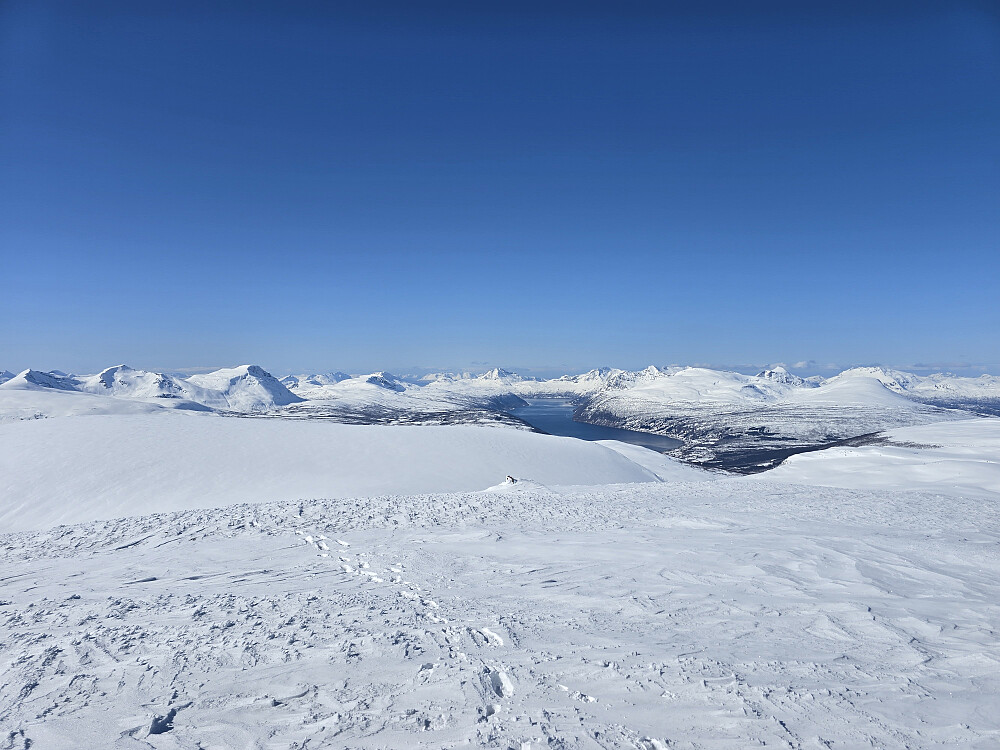 Mot Lavangsfjorden