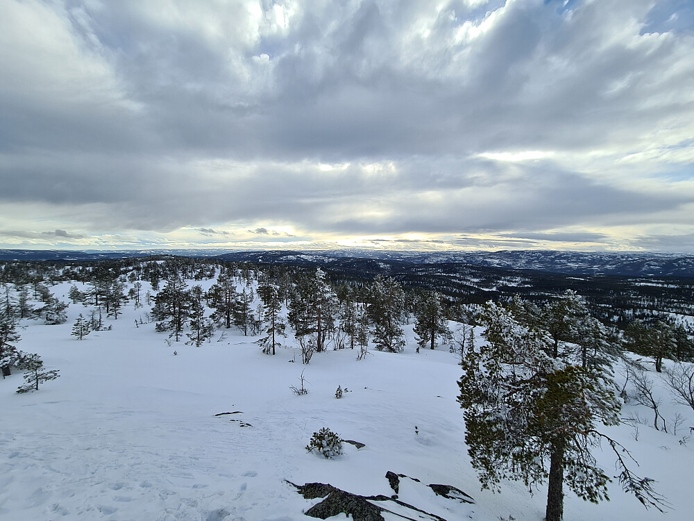 Utsikt fra Surtvarden