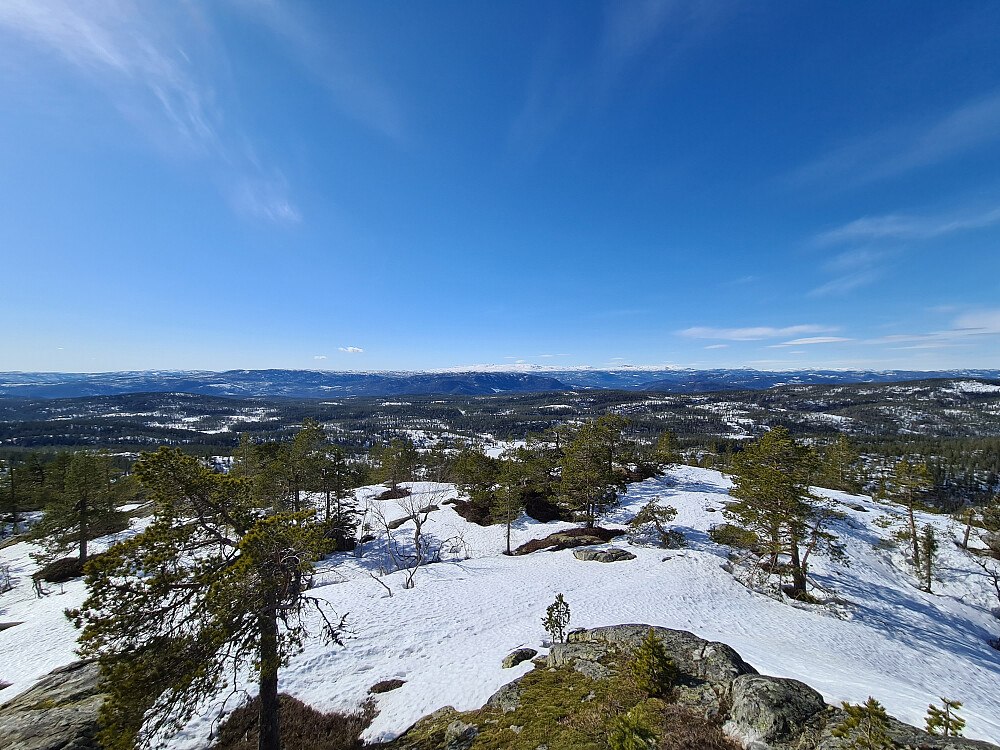 Fra toppen