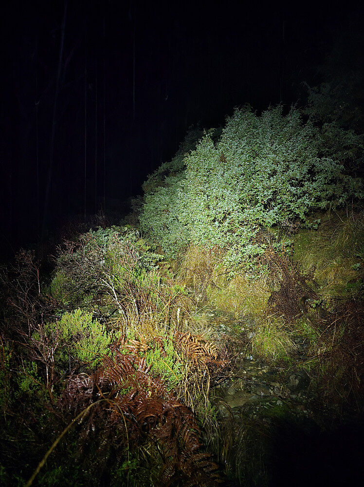 Stort sett hva jeg så på turen opp