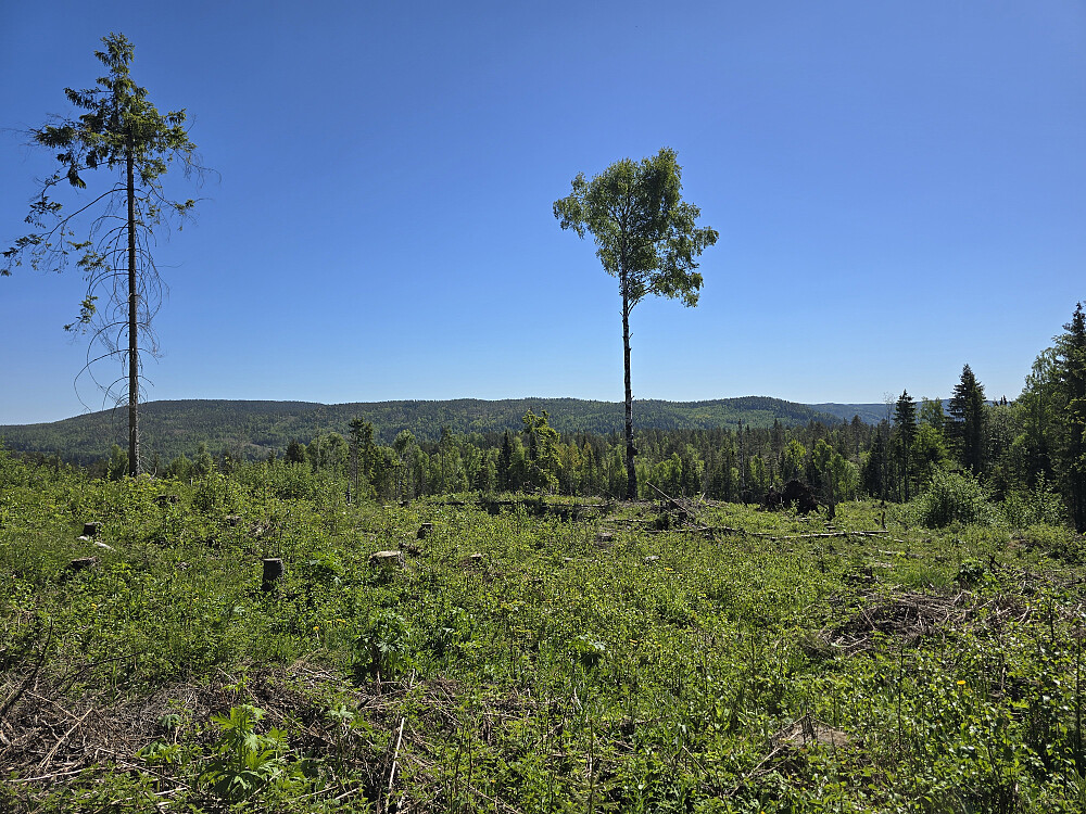 Utsikt mot Nesfjell mm.