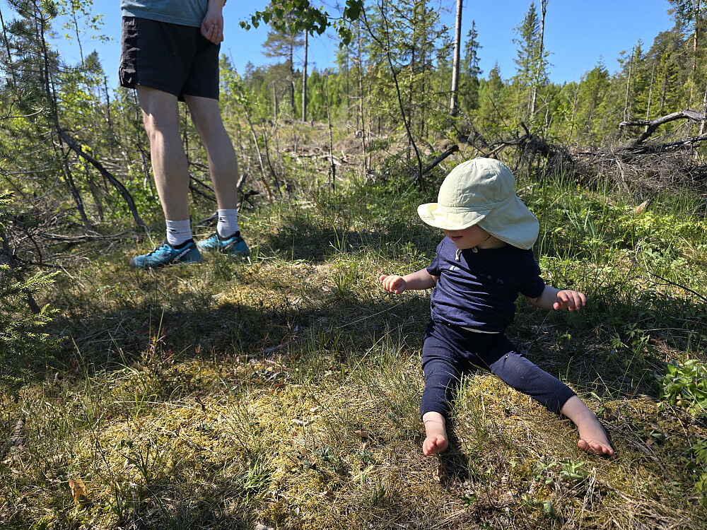 Venter på tømmerbilen