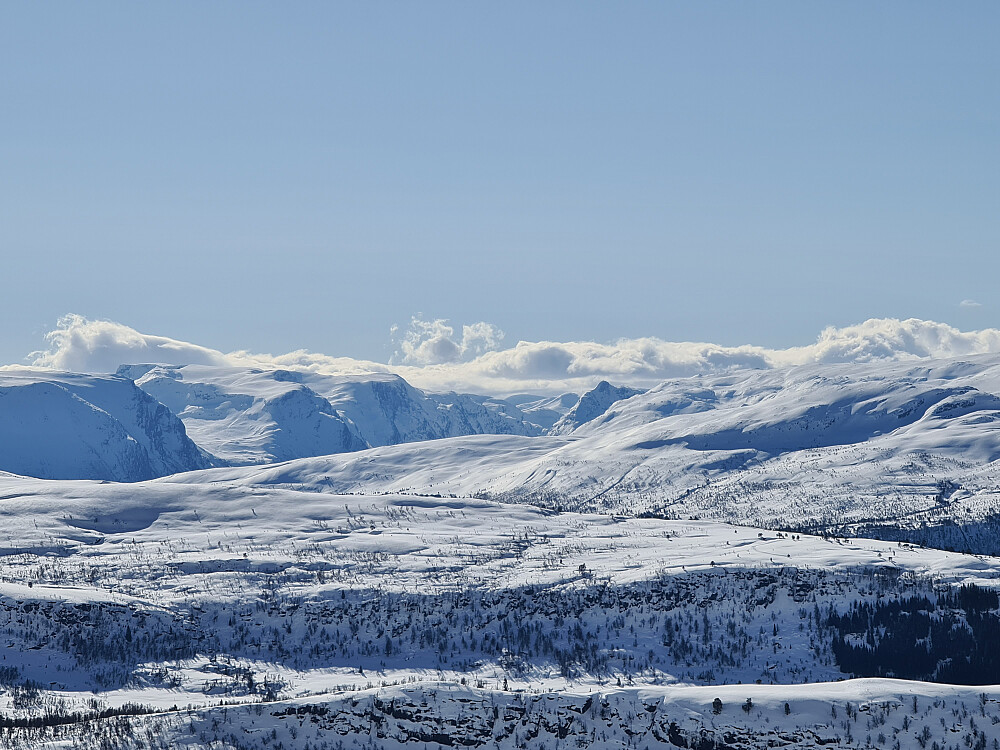 Eggjenibba til høyre for senter