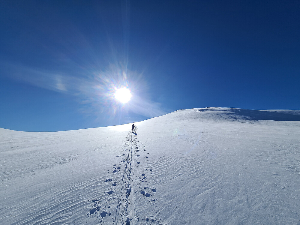 Siste stykket mot toppen