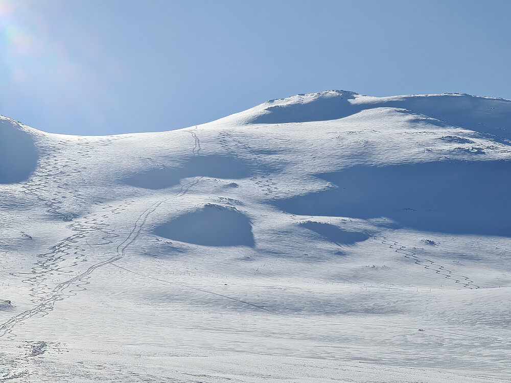 Ikke helt urørt - Men nydelig snø og nok til å kjøre egne spor