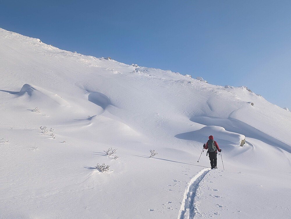 På vei opp og over skydekket nede ved Tyin