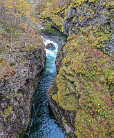 AnneW_20251007_68e53b73e55e6.jpg