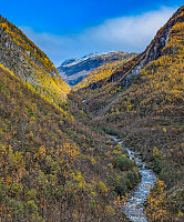 AnneW_20251007_68e53b91b0b0c.jpg