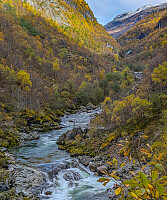 AnneW_20251007_68e53b9db0feb.jpg