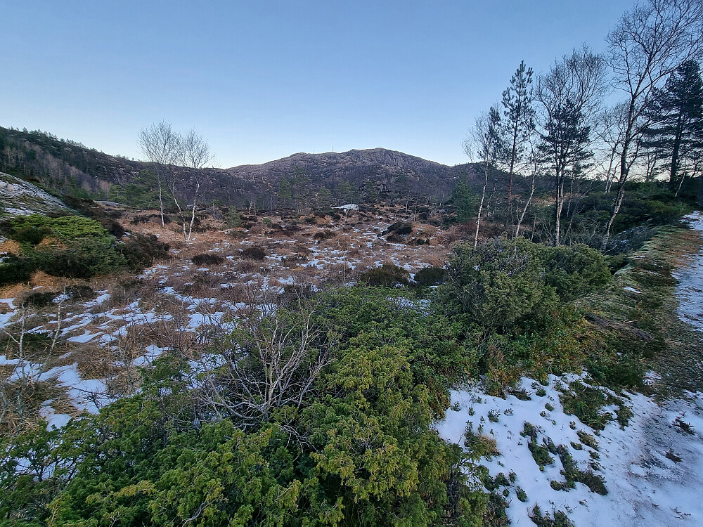 Fra skogsveien mellom Vedvika og Brandsdal. Klokkeidfjellet i bakgrunnen.