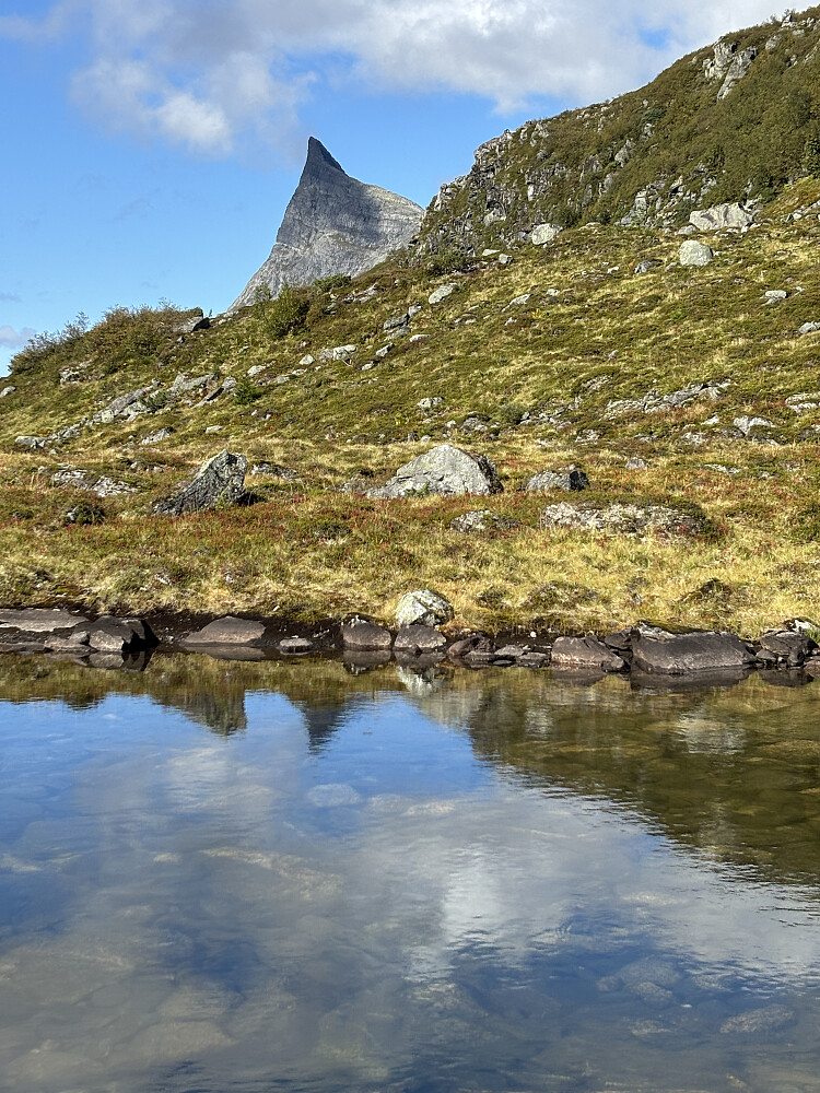 Tilbakeblikk
