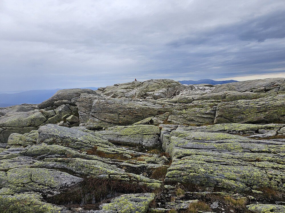 varden på Grønhaug dukker opp, ikke mye grønt her