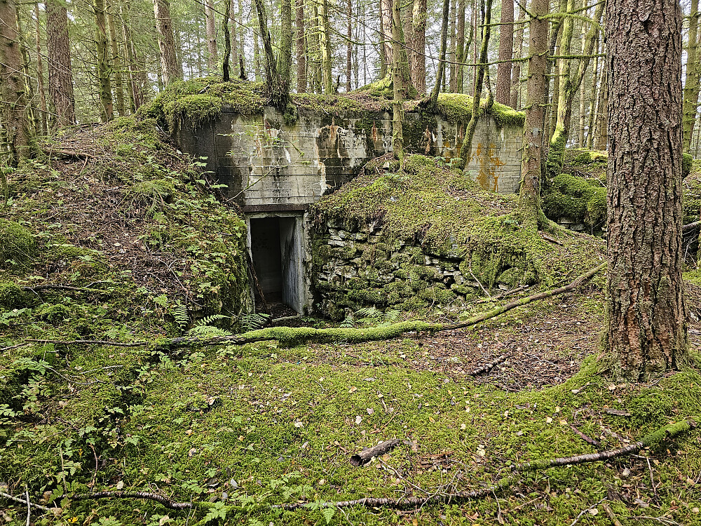bunkers inne i skogen, er synlig på 1881 historisk foto 1948
Lat 60.27068706717259 - Lon 5.433452725410462
