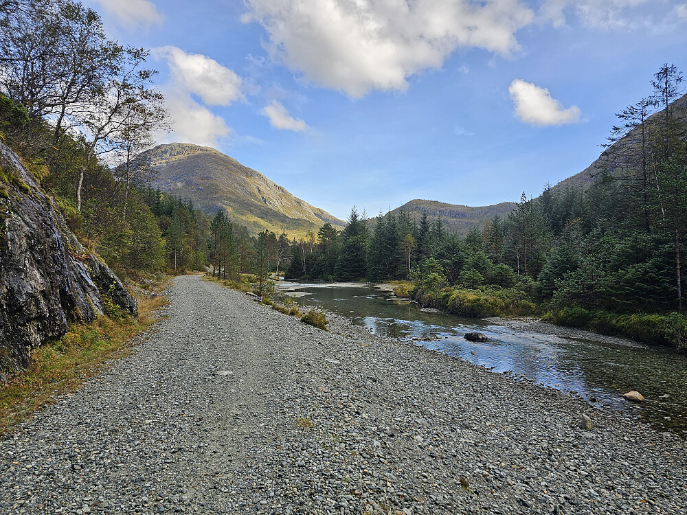 flott innover Haugsdalen