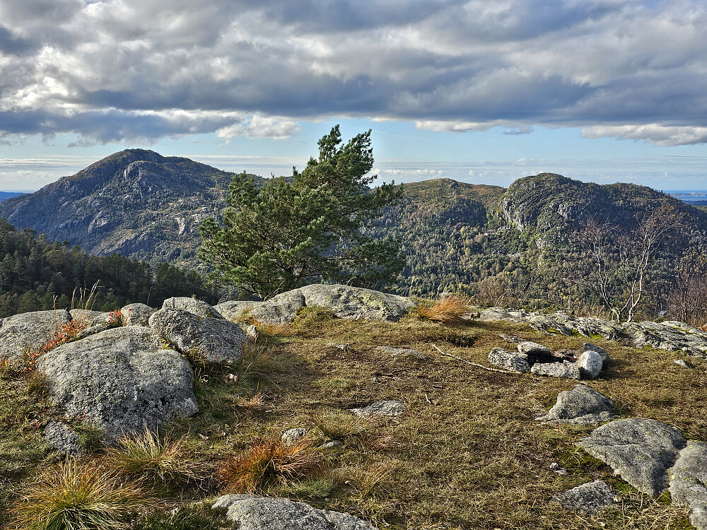 Holefjellet utsikt vest 303 med Lyderhorn i bakgrunnen 