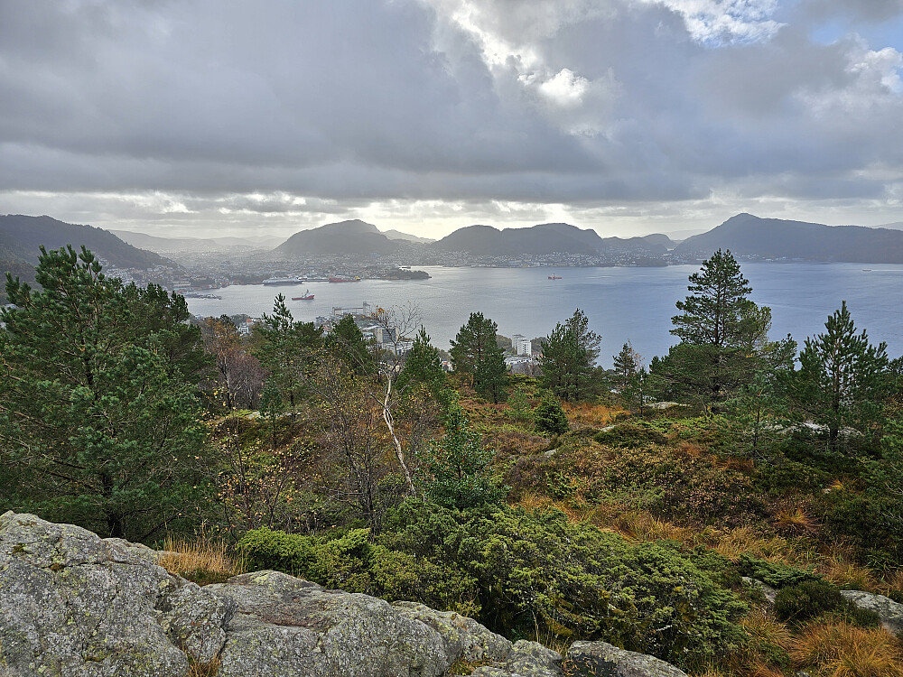 Bergen sett fra Ørneberget