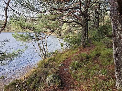her fra Skadet ved Gjeddevatnet