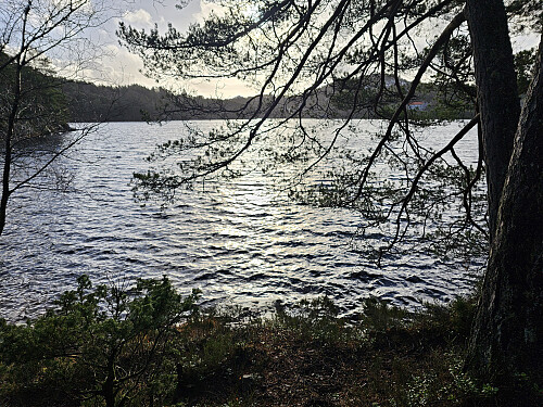 og her fra Gjerdsvika ved Gjeddevatnet