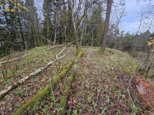 kanonbrønnen på Sælehaugen
