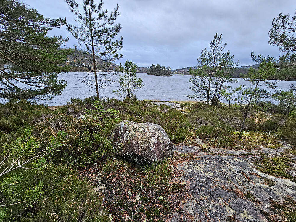 Neset ved Sælevatnet