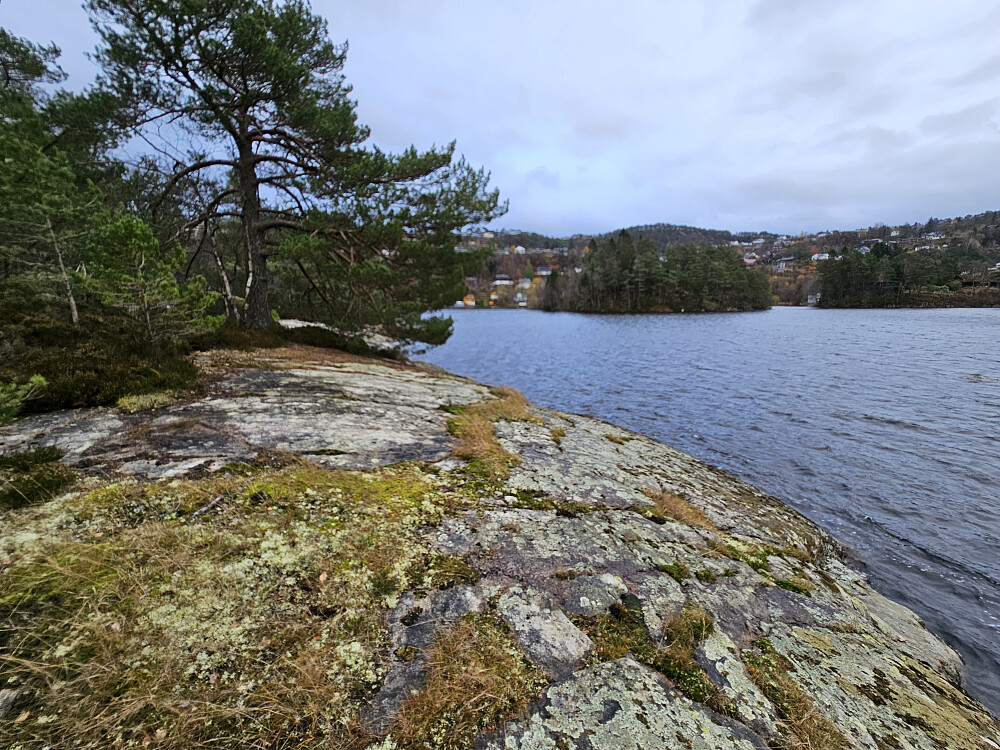 Neset ved Sælevatnet