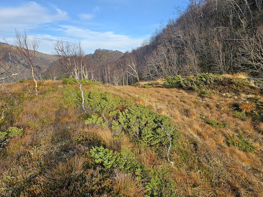nede på Gåsaflukta