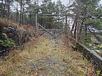 start på skogsveien