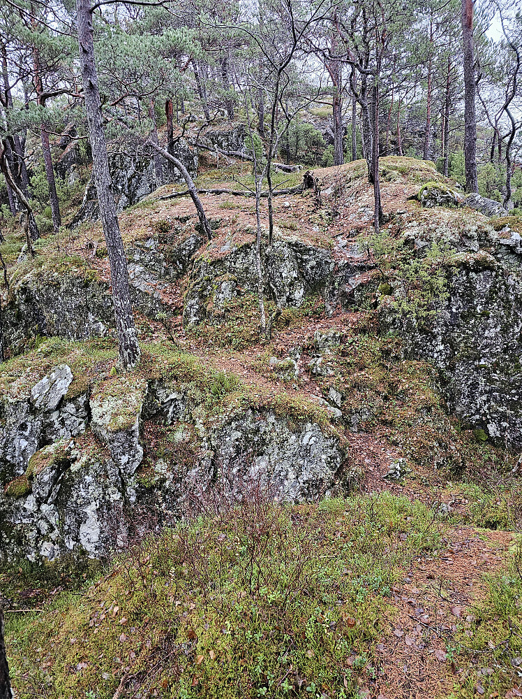 på vei opp til Øykhageskolten fra sydvest