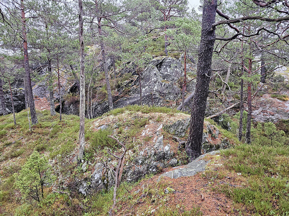 på vei opp til Øykhageskolten fra sydvest