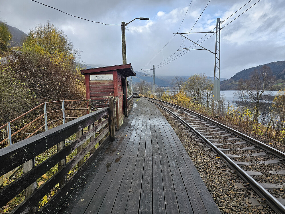 Romslo holdeplass. et råttent vente skur og sleip platting. Ingen togstopp her lengre.