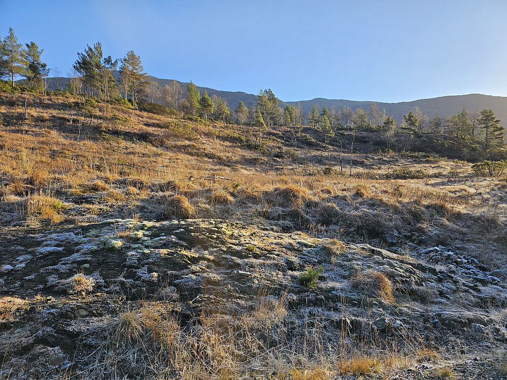Storerinden sett fra skogsveien der jeg gikk ut i terrenget 