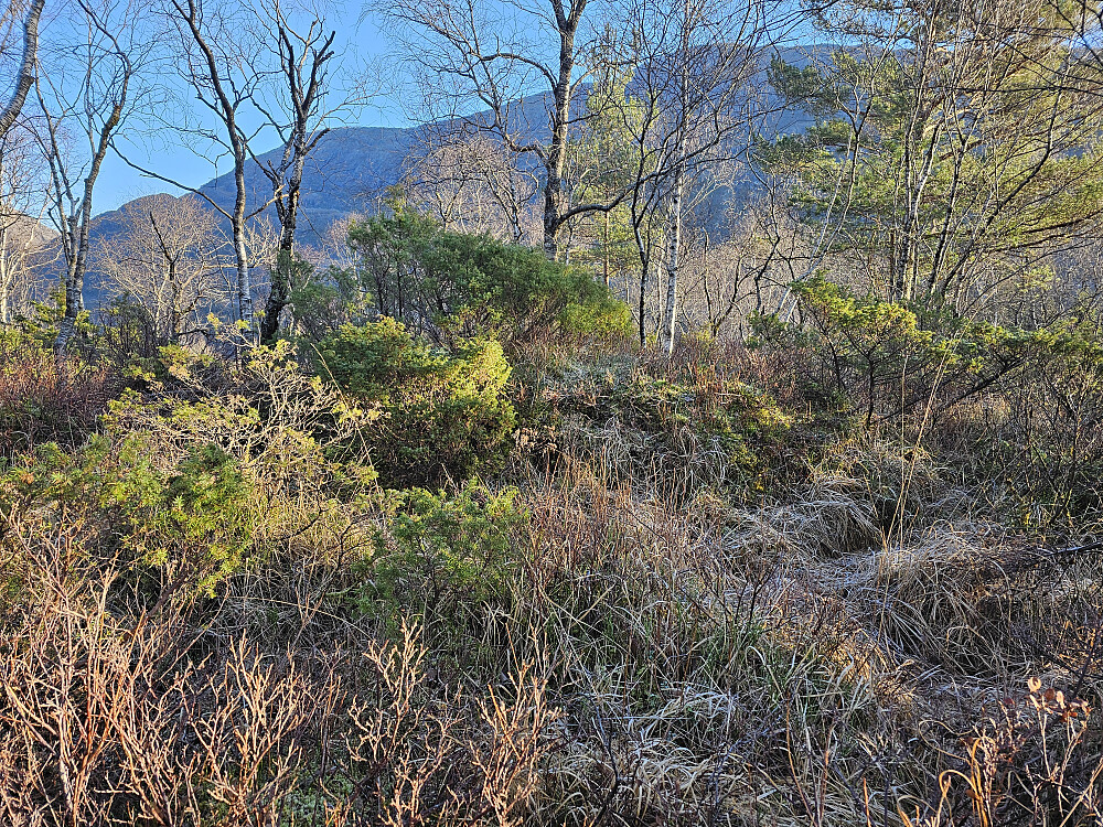 toppen på Storerinden 126