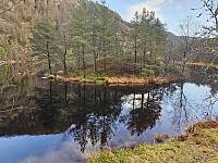 Byholmen i Langevatnet.