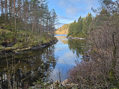 nede ved Skitnedalsvika