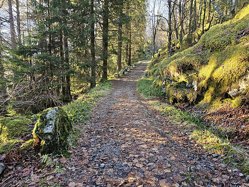 på vei opp militærveien til toppen på Håøyna