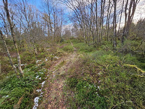 Fulgte fin sti nesten til toppen