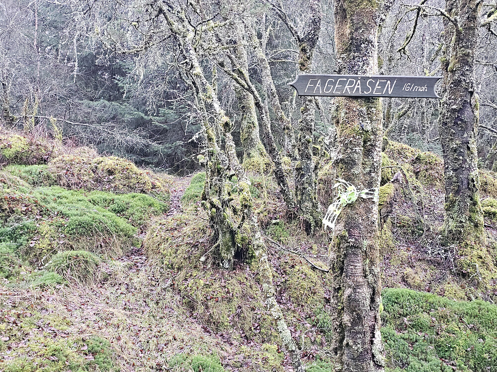 rett syd for toppen er det et skilt som viser ryddet svak sti opp