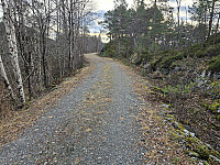 grusvei på vestsiden av Engjadalsvatnet