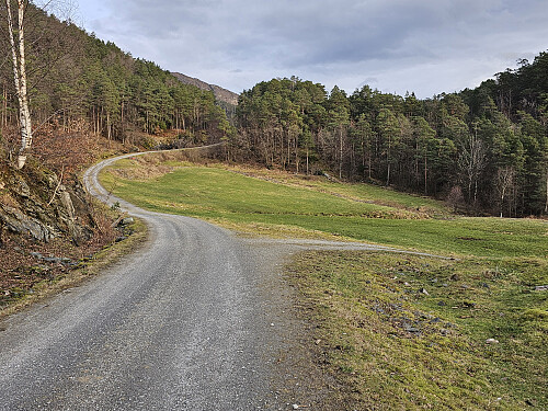 på skogsvei fra Lingavegen