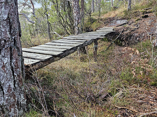 Inne på hovedstien som kom opp fra sydøst, her en eldre bro som så råtten ut, gikk utenom.